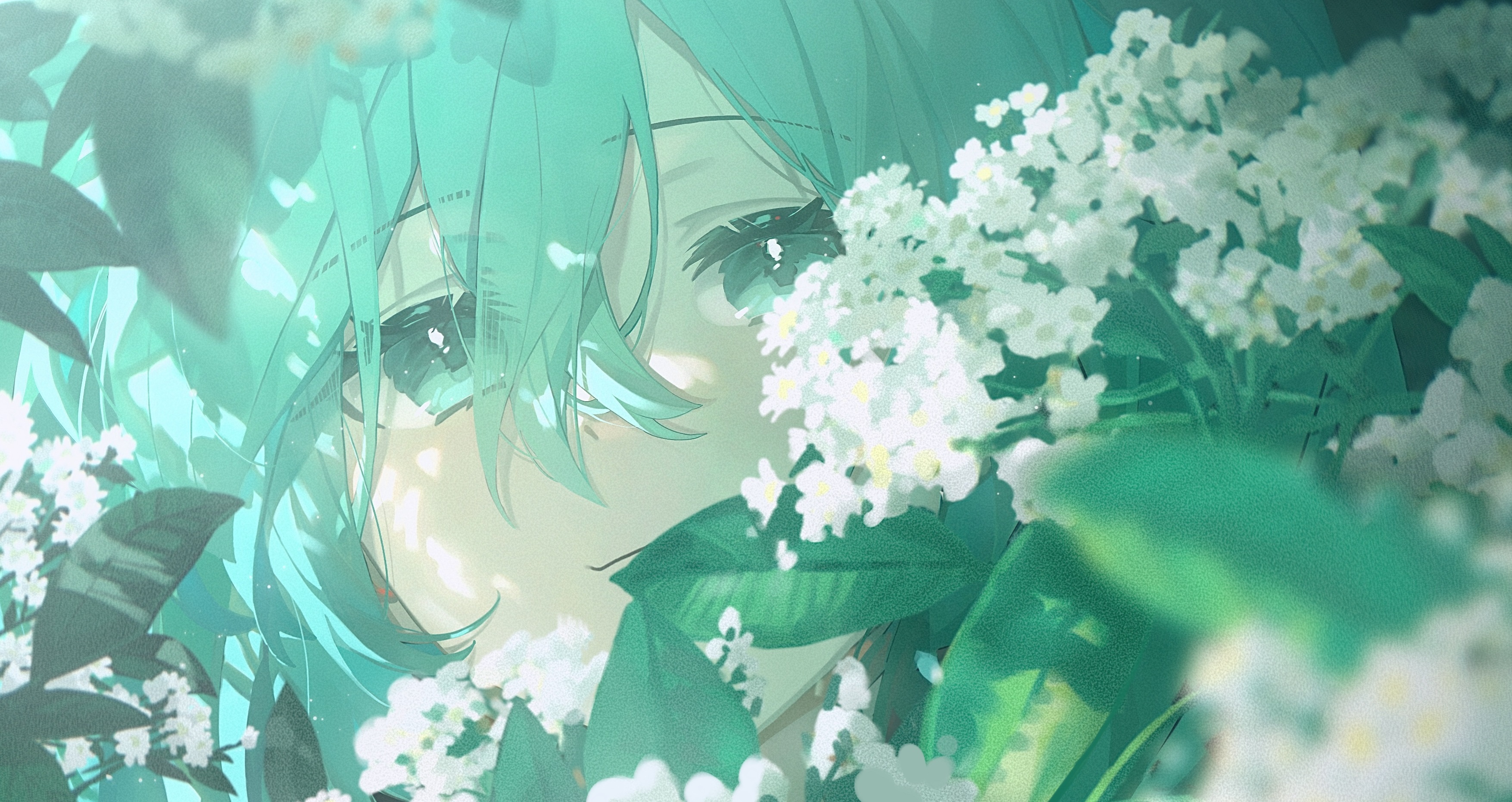 boxmoe_header_banner_img